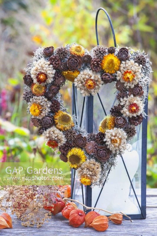 Heart shaped wreath made of cones lichens, strawflowers and dried seedheads.