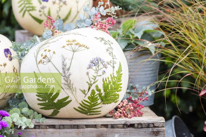White pumpkins with pressed flowers and leaves on wooden crates surrounded by plants