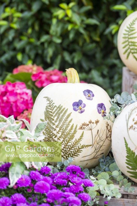 White pumpkins with pressed flowers and leaves on wooden crates surrounded by plants