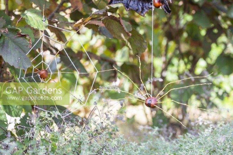 Conker and willow twig spider hanging next to conker spider web