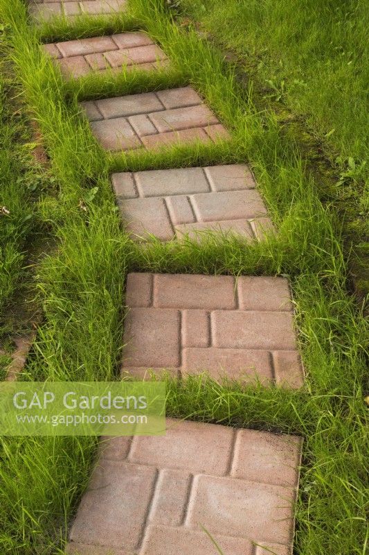 Tan and beige stepping stone path on grass lawn in backyard in summer.