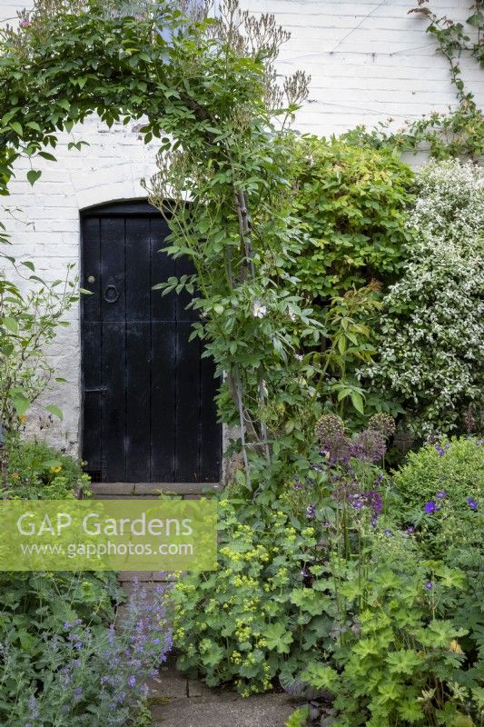 Rosa 'Francis E Lester' frames the stable door and is underplanted with Alchemilla mollis, Nepeta 'Six Hills Giant', Allium 'Purple
Sensation' and Geranium 'Orion'.