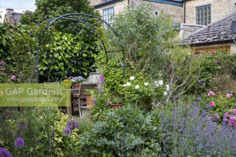 Metal arch leading through to small patio seating area with Allium 'Purple Sensation', Acanthus mollis, Rosa 'Desdemona', Nepeta 'Six Hills Giant' and Rosa 'Gertrude Jekyll'.