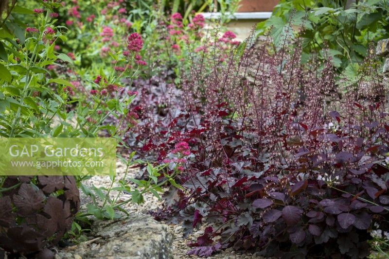 Rusty metal flower bowl with a line of Heuchera 'Palace Purple' with self-seeded Centranthus ruber behind.