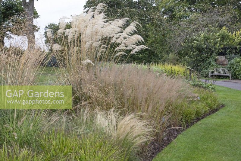 Mixed grass bed at Ness Botanic Garden, Liverpool, September