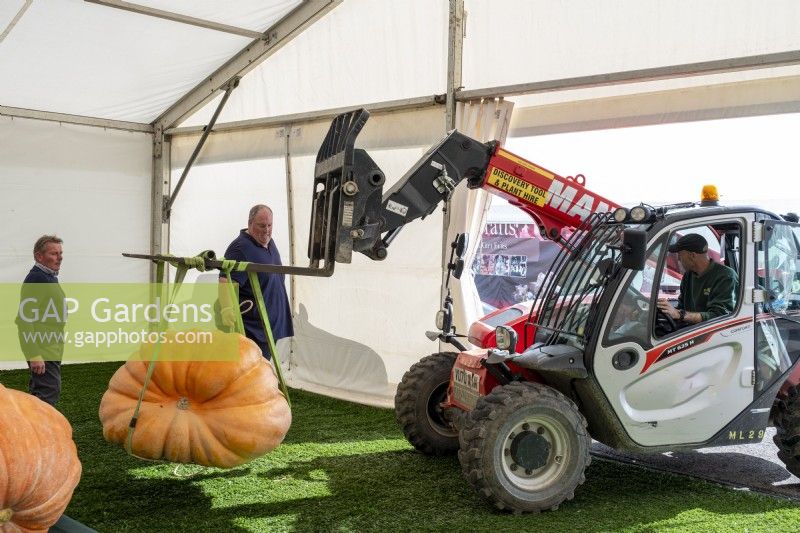 The Malvern Show, giant pumpkins being moved by agricultural machinary