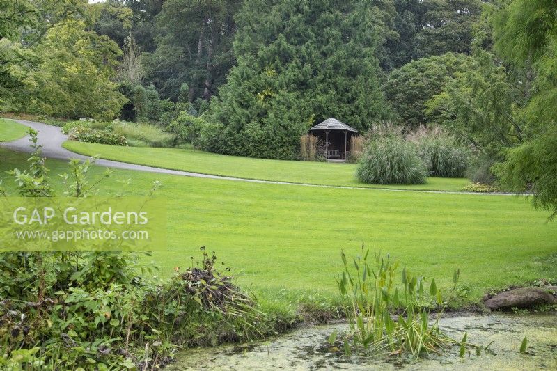 View across the pond to a wooden gazebo at Ness Botanic Garden, Liverpool, September
