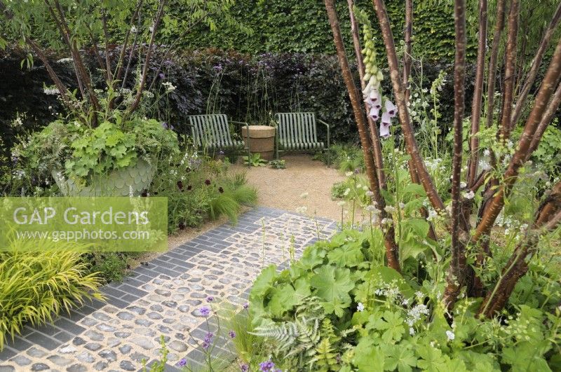 An urban garden with a straight path made of brick and flint leading to a small seating area with two green HAY Palissade Lounge Chairs enclosed by copper beech hedging.  Multi-stemmed Prunus serrula trees - Tibetan cherry - in large planters with Digitalis purpurea 'Dalmatian White', Alchemilla mollis and Athyrium niponicum 'Metallicum'.  The Traditional Townhouse Garden, RHS Hampton Court Palace Garden Festival 2023.  