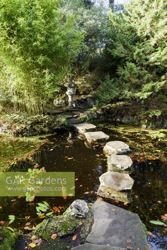 Stepping stones across the pond in the Japanese Garden at Compton Acres, Dorset in November