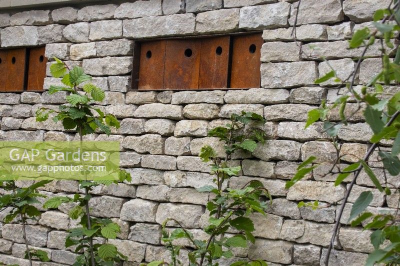 Bird boxes by John Hollington Design set into a drystone wall on the RSPCA Garden designed by Martyn Wilson - RHS Chelsea Flower Show 2023