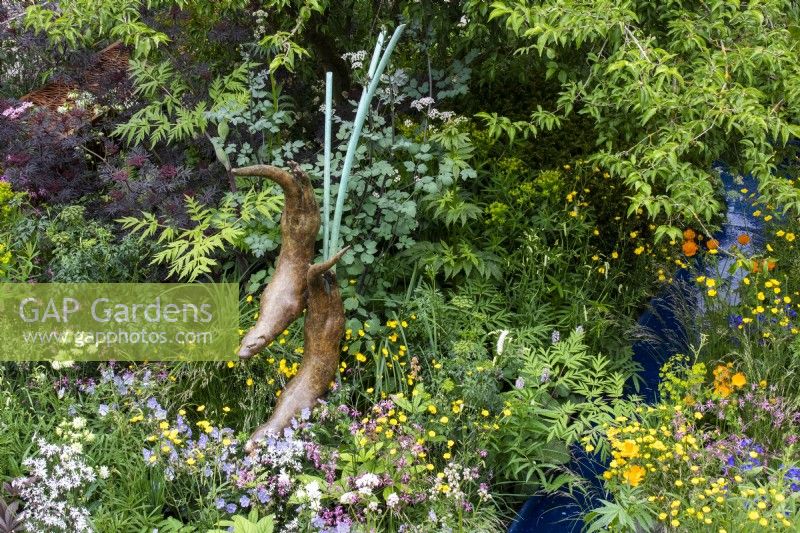 Sculpture of otters by Simon Gudgeon surrounded by wildflife friendly planting on the RSPCA Garden designed by Martyn Wilson - RHS Chelsea Flower Show