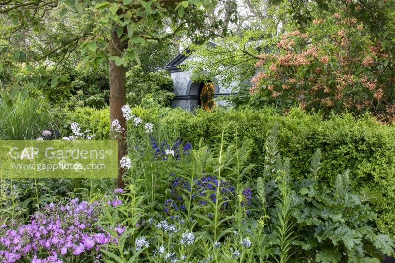 A border with Aesculus x mutabilis 'Penduliflora', Taxus baccata, Hesperis matronalis, Phlox glaberrima 'Bill Baker', Anchusa azurea 'Loddon Royalist' in front of a temple on the Myeloma UK - A Life Worth Living Garden designed by Chris Beardshaw - RHS Chelsea Flower Show 2023