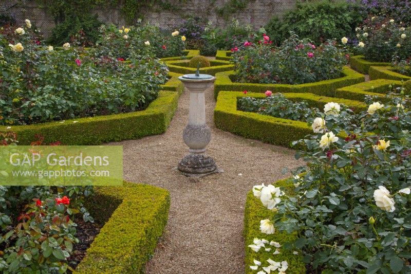  Central area of parterre with sundial on gravel. Box-edged beds filled with roses - Waterperry Garden, Oxfordshire