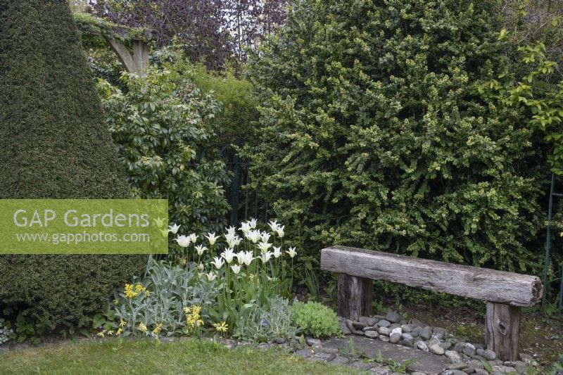 Wooden bench in the Reclaimed Garden at Barnsdale Gardens, April
