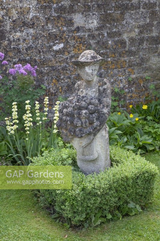 Female sculpture with edging of buxus at Barnsley House in June