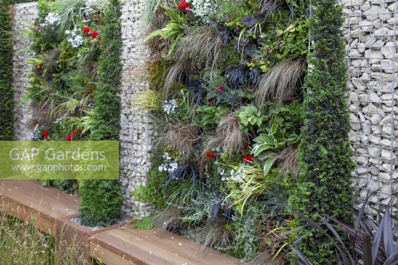 Living wall in 'Across the Board' garden, a solution for a new-build garden, BBC Gardener's World Live 2018