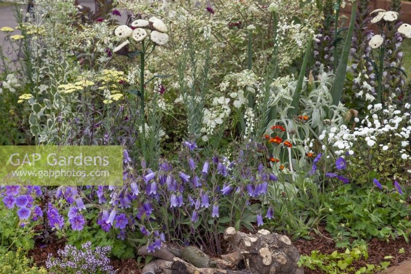 Mixed perennial border in 'Useful and Beautiful', an insect and pollinator-friendly garden in the Beautiful Borders Section at Gardener's World Live 2108