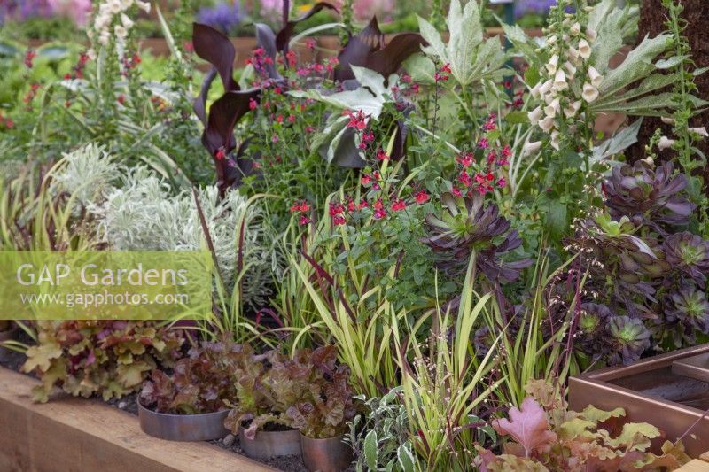 'Wrapped up in Nature' - Beautiful Borders - BBC Gardener's World Live 2018