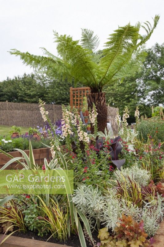 Mixed perennials in 'Wrapped up in Nature' - Beautiful Borders - BBC Gardener's World Live 2018