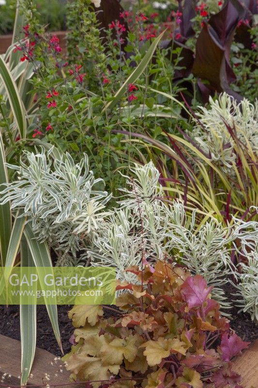 Foliage in 'Wrapped up in Nature' - Beautiful Borders - BBC Gardener's World Live 2018