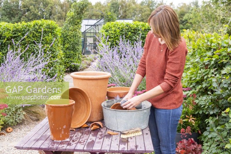 Woman cleaning terracotta pots with wire wool and soapy water