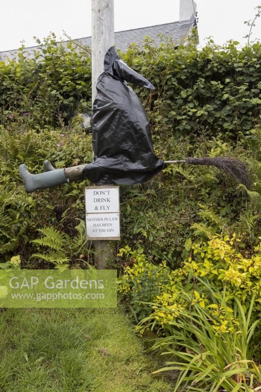 The Drunken Witch sculpture. A witch made of old wellington boots, plastic and an old fashioned witches broomstick are attched to a metal lampost with a sign saying' 'Don't drink and fly'. A variety of foliage is in the background. Harbour Lights, Devon NGS garden. July. 