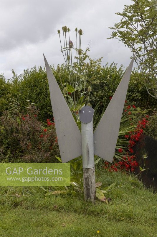 The 'Gardening Angel' made from recycled materials in front of a hedge, red monbretia, teasels and a variety of other plants with lawn in front. Harbour Lights, Devon NGS garden. July. 