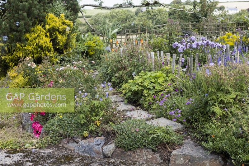 A curved paved path leads into the 'Labyrinth', through mixed, colourful planting with countryside views in the background. Harbour Lights, Devon NGS garden. July. 
