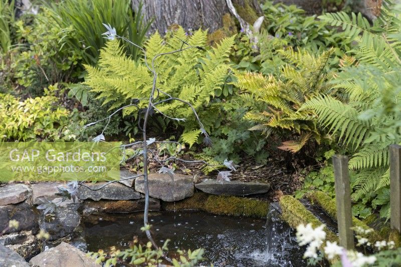 A metal sculpture with leaves in the middle of a small pond, surrounded by foliage, including ferns, with a small rill and waterfall on the right. Harbour Lights, Devon NGS garden. July. 