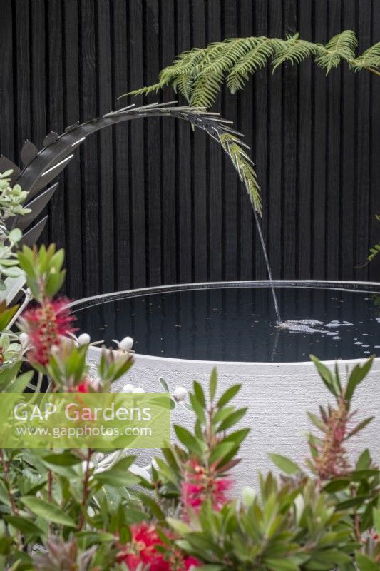 Small courtyard garden with a large container pond fed with a spout in the shape of a fern leaf