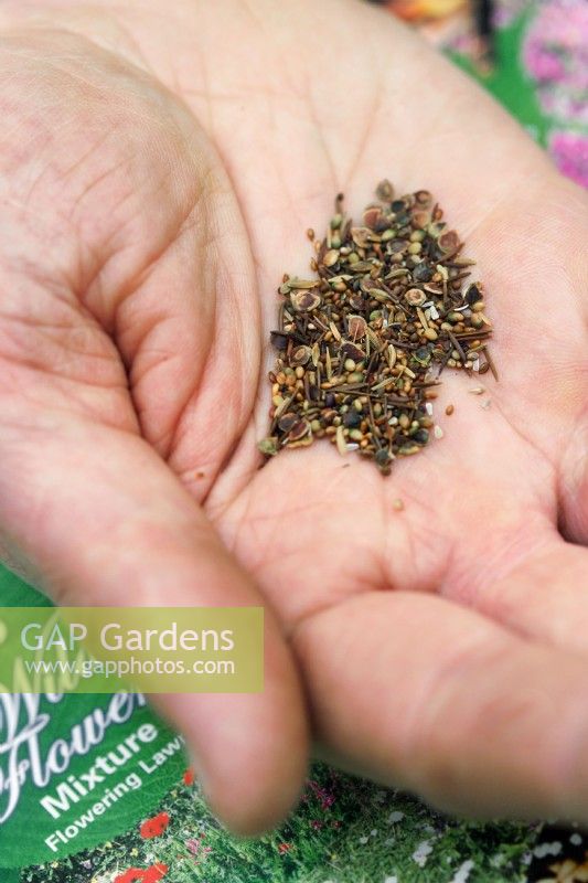 Wildflower seed mix in palm of hand