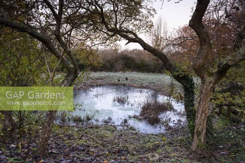 Icy pond on a frosty December morning at Balmoral Cottage, Kent