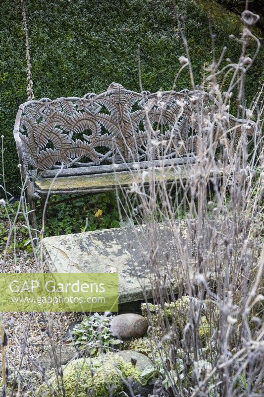 Fern and blackberry bench in a frosted garden in December