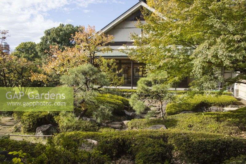The Ryotei building built in style of a tea house with topiarised pine trees and moss bank in foreground.
