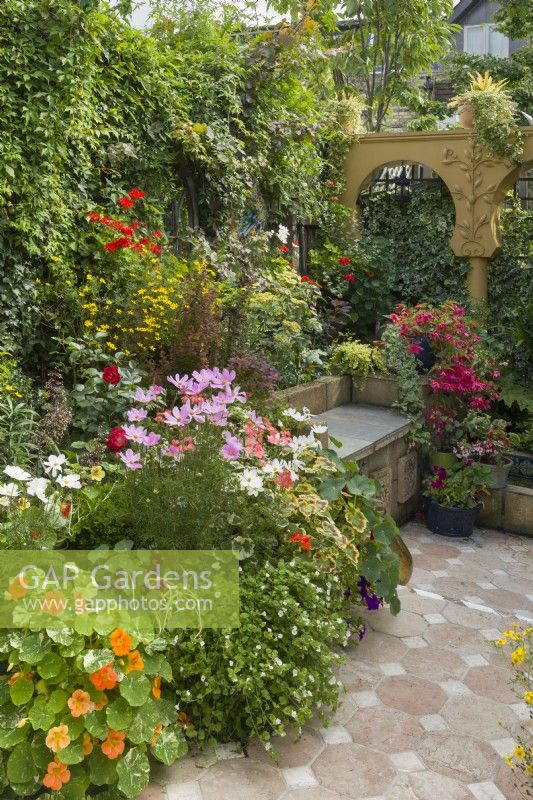 Small, paved courtyard garden styled with a Moroccan theme. Built in seat. Colourful bedding plants in containers with pelargoniums, nasturtiums, cosmos, bidens and begonias. July.
