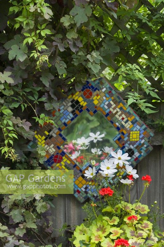 Mosaic framed mirror fixed to garden fence with foliage of Vitis vinifera 'Purpurea' and Jasminum officinale.  White cosmos and variegated pelargonium. July
