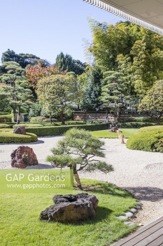 Raked gravel with placed rocks known as karesansui with pine trees in area called the Stone garden