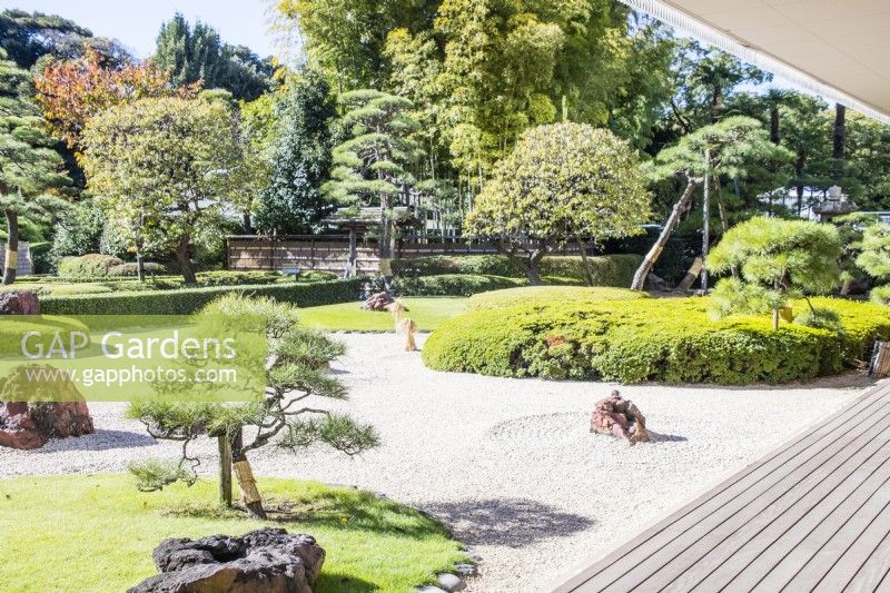 Raked gravel with placed rocks known as karesansui with pine trees in area called the Stone garden. 