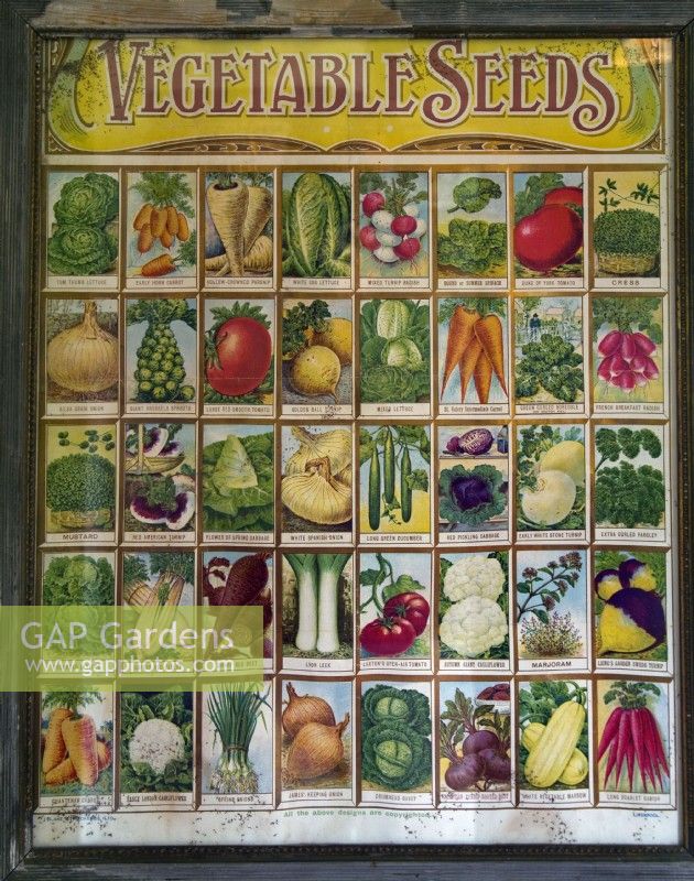 Vintage vegetable seed packets from the early 20th century