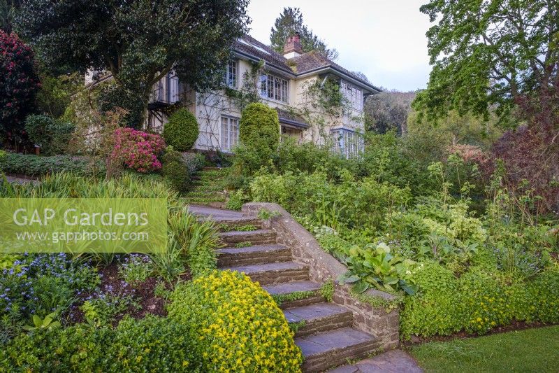 View of the house at Greencombe gardens, Devon, spring woodland garden