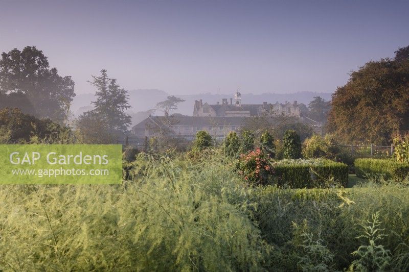 View across the vegetable garden to Parham House in September