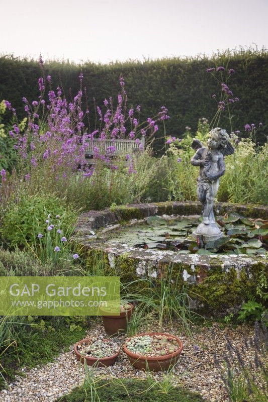 Pots of sempervivums beside a circular pond with cherub statue in the herb garden at Parham House in September