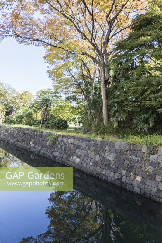 Garden wall and tidal moat with trees.