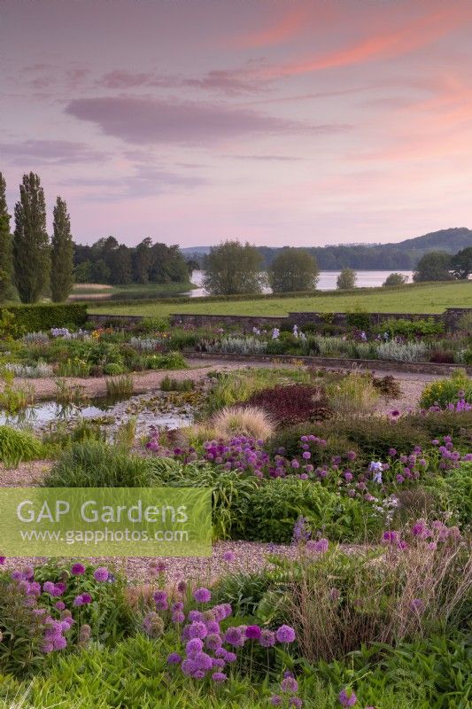 Sunrise view over the gravel garden towards Blagdon Lake - alliums, ornamental grasses, Lysimachia ciliata 'Firecracker' and mixed planting flower beds and small pond 
