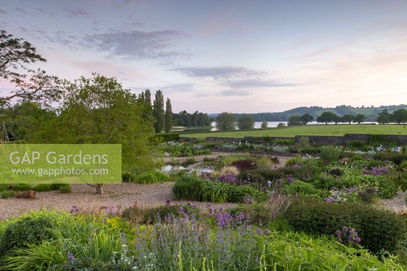 Sunrise view over the gravel garden towards Blagdon Lake - alliums and ornamental grasses with mixed planting flower beds and small pond 