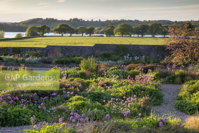 View over the gravel garden towards Blagdon Lake - alliums and mixed planting flower beds 