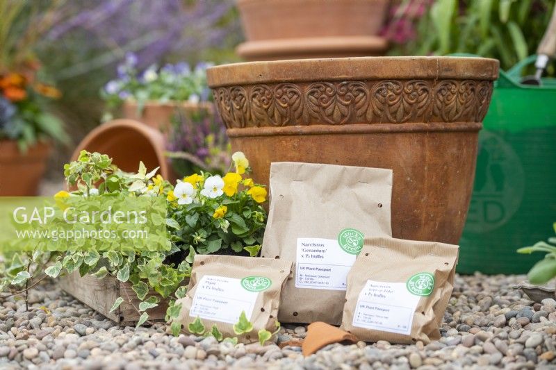 Narcissi 'Pipit', 'Geranium' and 'Tete-a-Tete' bulbs in brown paper bags with white and yellow Violas, Ivy and a large terracotta container laid out on the ground