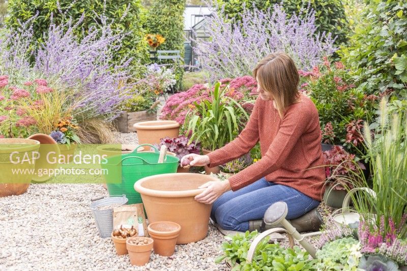 Woman planting Hyacinthus 'Delft Blue' bulbs in large terracotta container