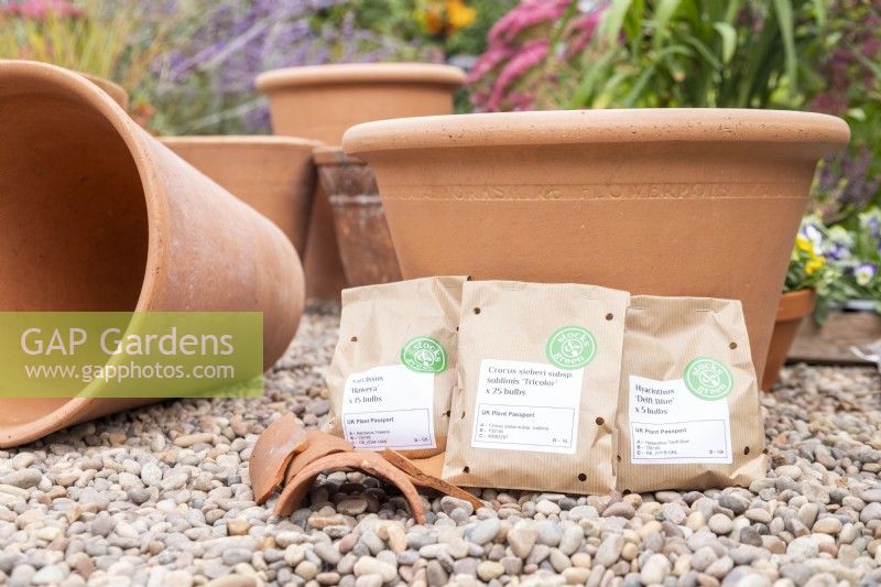 Narcissus 'Hawera', Crocus sieberi 'Tricolor' and Hyacinthus 'Delft Blue' bulbs in brown paper bags next to large terracotta container