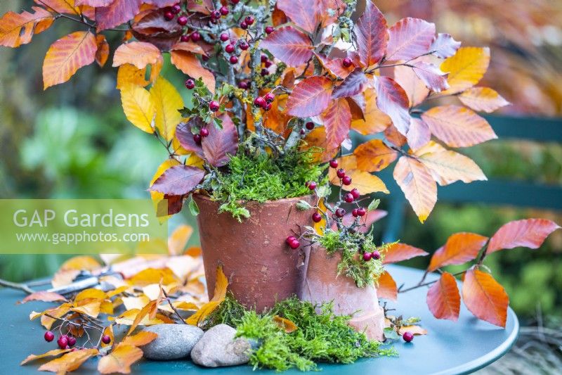Hawthorn, Beech sprigs and moss in a small terracotta pot on a table with additional sprigs, moss and pebbles around the base